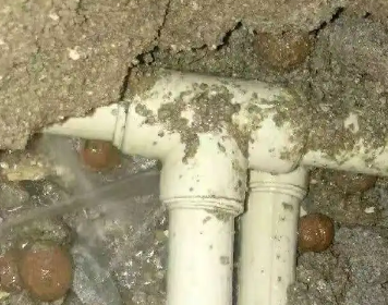 泰顺测漏水多少钱