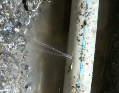 泰顺测漏水哪家好