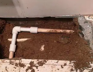 泰顺测漏水哪家好