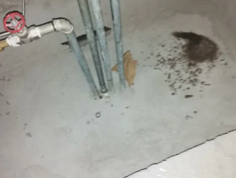 泰顺卫生间测漏水价格明细