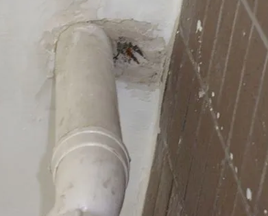 泰顺漏水检测哪家好